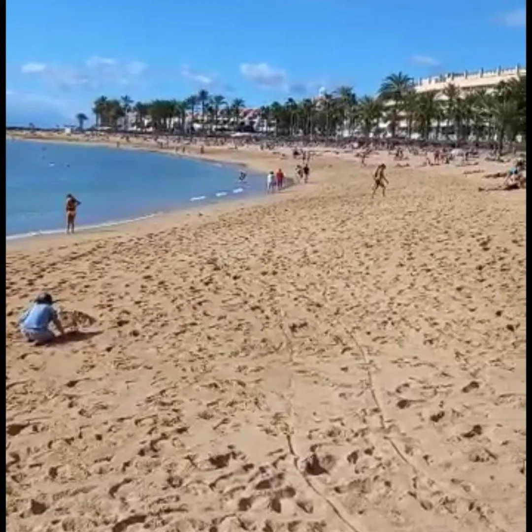 Chill Out Tenerife Sud - Monolocale Con Piscina Riscaldata Costa del Silencio España